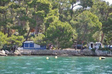 Hırvatistan kıyılarında kamp yeri, mevsimden mevsime uzanan çam ağaçları ve kıyı şeridi. Hırvatistan 'da vahşi doğa ve deniz.