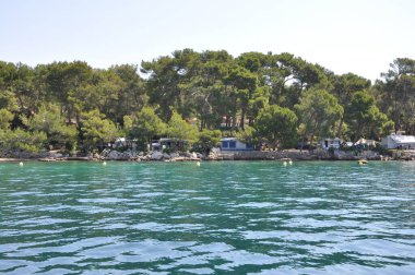 Hırvatistan kıyılarında kamp yeri, çam ağaçları ve deniz kıyısından sahil şeridi.