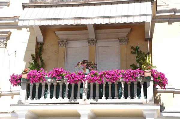 Hırvatistan 'ın Opatija kentinde çiçeklerle dolu bir balkon. Petunya çiçekleri ile sarmalanmış balkon