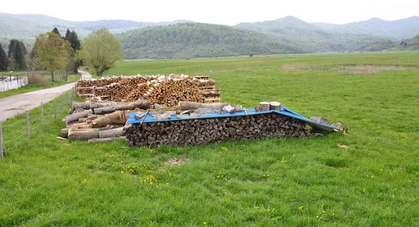 Kış zamanı için şömine kütükleri. Bir yığın kütük arka planı. Kış zamanı. Ağaç gövdeleri yığılır, kereste orman orman sanayisi. Geniş pankart ya da panorama ağır ağaç gövdeleri.