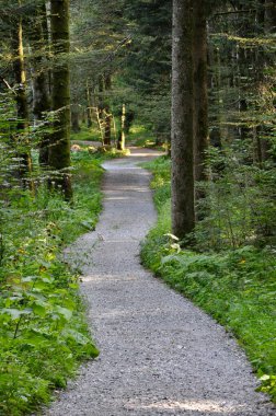 Risnjak Ulusal Parkı 'nda yürüyüş ve eğlence parkları - Hırvatistan