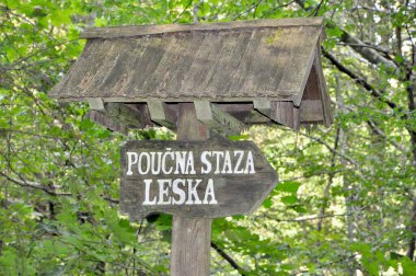 Orman parkındaki bir güzergahın yönünü gösteren tahta bir direk. Hırvatistan 'ın Risnjak Ulusal Parkı' nda dinlenme ve turizm