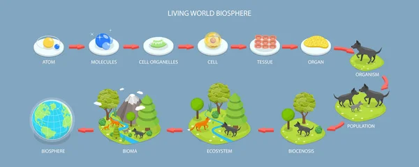 Isometric Flat Vector Conceptual Illustration Living World Biosphere Labeled Ecosystem —  Vetores de Stock