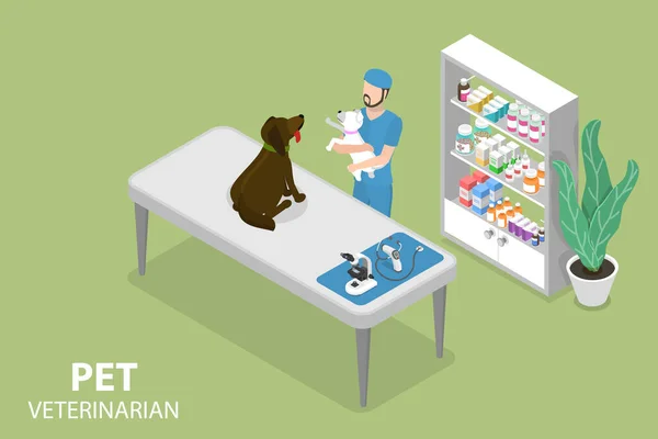 Ilustração Conceitual Vetor Plano Isométrico Veterinário Pet Tratamento Médico Animal — Vetor de Stock