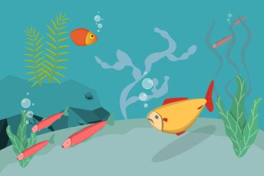3D Isometric Flat Vector Set of Aquarium Life, Ocean Underwater World