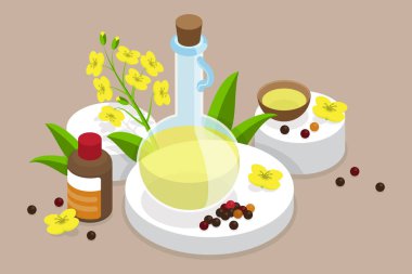 3 Boyutlu Isometric Düz Vektör Canola Petrol, Doğal ve Sağlıklı Beslenme