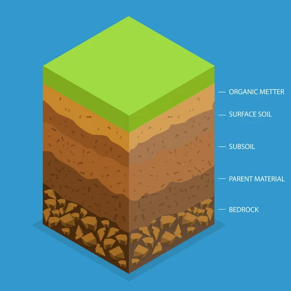 Isometric Flat Vector Conceptual Illustration Layer Fertile Soil Educational Schema — 图库矢量图片