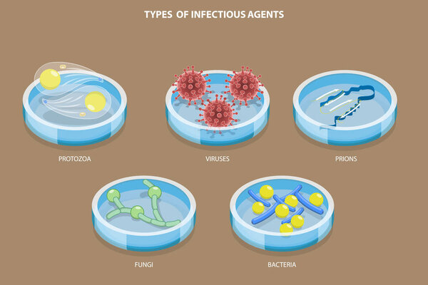 3D Isometric Flat Vector Set of Types Of Infectious Agents , Microorganism That Causes Diseases
