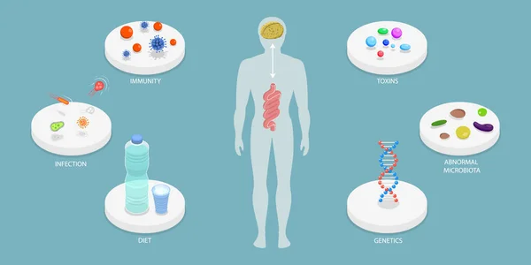 Isometric Flat Vector Conceptual Illustration Microbiome Gut Brain Connection — 스톡 벡터