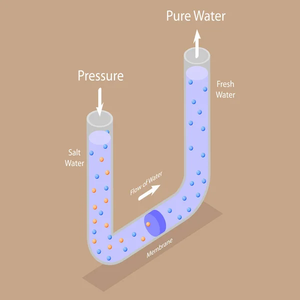 Isometrische Platte Vector Conceptuele Illustratie Van Omgekeerde Osmose Waterzuiveringsproces — Stockvector