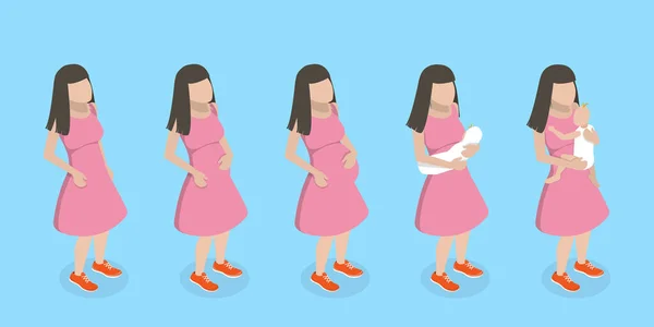 Isometric Flat Vector Conceptual Illustration Stages Pregnancy Changes Female Body — Stockový vektor