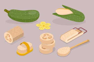 3 Boyutlu Isometric Düz Vektör set Vietnamlı Luffa, Loofah Sebze