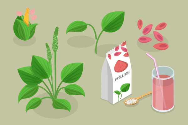 Ilustração Conceitual Vetor Plano Isométrico Psyllium Plant Fibra Alimentar Vegan —  Vetores de Stock
