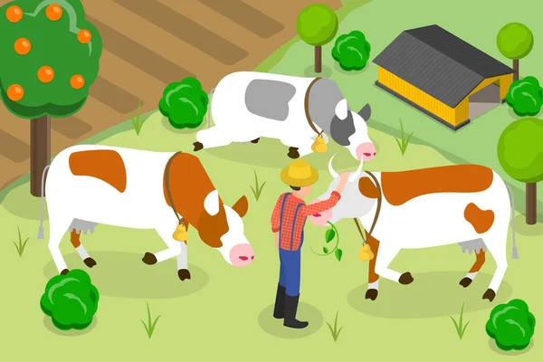 Isometric Flat Vector Conceptual Illustration Cow Farm Rural Summer Landscape — 스톡 벡터