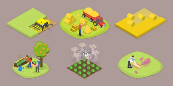 3Dアイソメトリックフラットベクトル農業シーンのセット 収穫期 — ストックベクタ