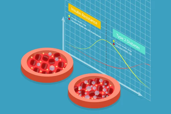 3Dアイソメトリックフラットベクトル絶縁抵抗の概念図 比較図 — ストックベクタ
