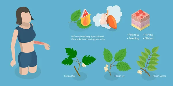 Isometrischer Flacher Vektor Konzeptuelle Illustration Von Giftefeu Allergie Gegen Giftpflanzen — Stockvektor
