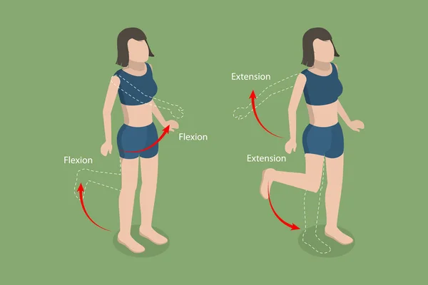 Isometric Flat Vector Conceptual Illustration Flexion Extension Human Body Movement - Stok Vektor