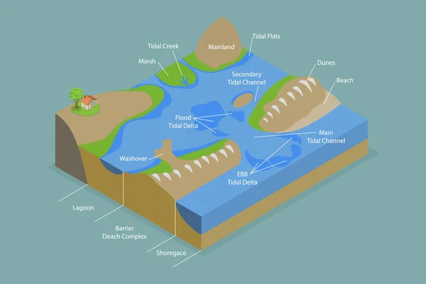 Ισομετρική Επίπεδη Διανυσματική Εννοιολογική Απεικόνιση Του Συστήματος Barrier Island Εκπαιδευτικό — Διανυσματικό Αρχείο