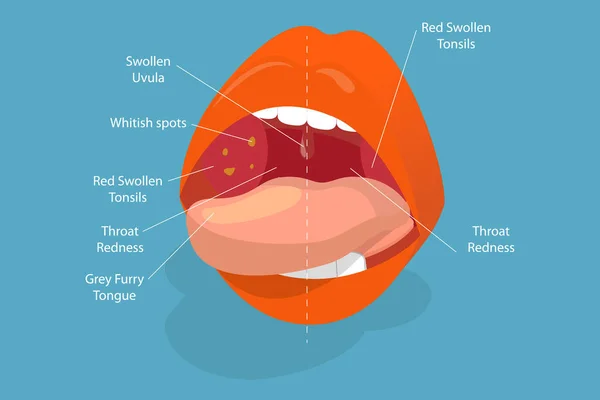 3D等角平面ベクトル人間の口の部分の概念図 教育図 — ストックベクタ