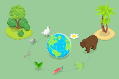 3D Isometric Flat Vector Conceptual Illustration of Ecosystem, Biodiversity and Species Variety