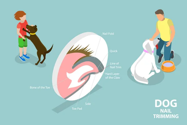 Isometric Flat Vector Conceptual Illustration Dog Nail Trimming Veterinary Pedicure — Stockvektor