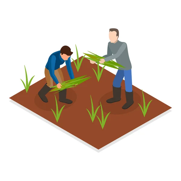 Isometric Flat Vector Set Farmers Agricultural Workers Point — Image vectorielle