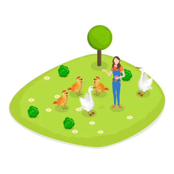 Isometric Flat Vector Set Farms Farmers Taking Care Sheeps Chickens — Stockový vektor