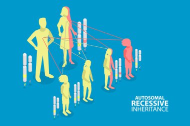 3D Isometric Düz Vektör Otozomal Resesif Genlerin Kavramsal Resülasyonu, Dominant ve Çekinik Genler