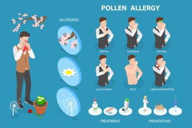 Polen Alerjisi, Sebepleri ve Semptomlarının 3 Boyutlu İzometrik Düz Vektör Kavramsal İllüstrasyonu