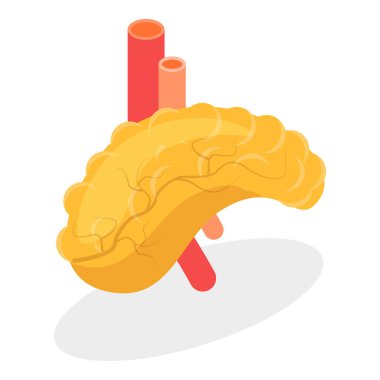Sindirim Sistemi Anatomisi 'nin 3D Isometric Düz Vektör İllüstrasyonu, İnsan İç Organı. Madde 1