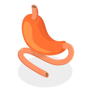 Sindirim Sistemi Anatomisi 'nin 3D Isometric Düz Vektör İllüstrasyonu, İnsan İç Organı. Madde 2