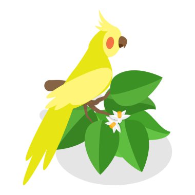 3D Isometric Düz Vektör Korsan Malzemeleri, Klasik Karayip Nesneleri. Madde 3