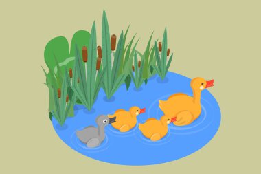 3 boyutlu Isometric Düz Vektör Çirkin Ördek Masalı, Gölette Yüzen Su kuşları
