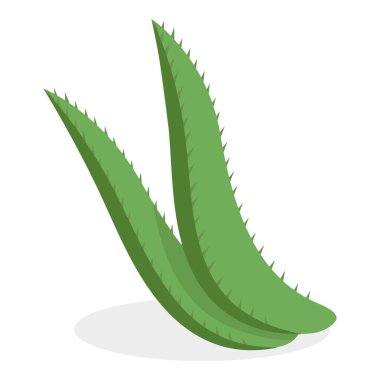 Üç boyutlu Isometric Flat Vector seti tıbbi otlar ve böğürtlenler, doğal bitkisel ilaçlar. Madde 4