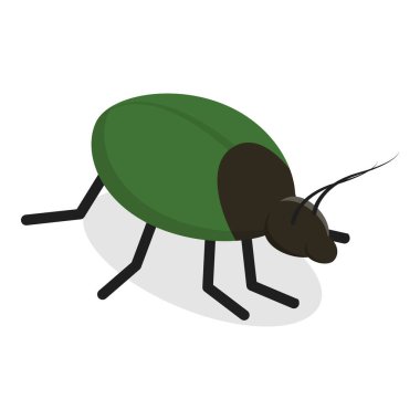 3 Boyutlu Isometric Böcek, Böcek, Sivrisinek, Sinek, Hamamböceği, Kelebek. Madde 3