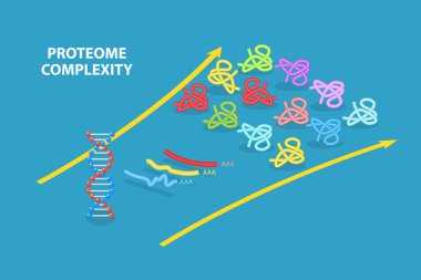 3D Isometric Flat Vector Illustration of Proteome Complexity, Proteins Studying clipart