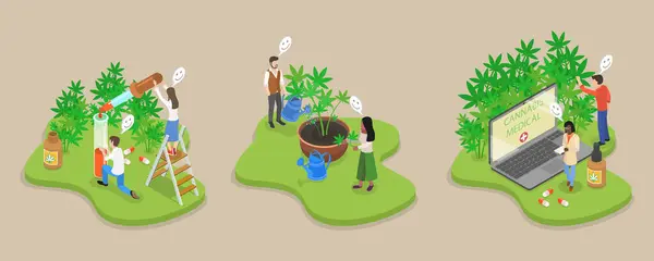 Isometric Flat Vector Illustration Hemp Products Weed Plant Cultivation Stock Vektory