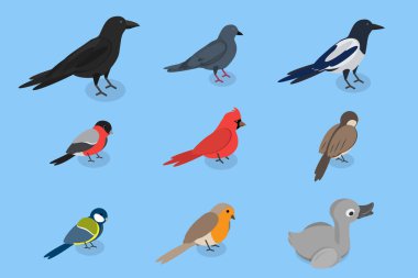 3D Isometric Flat Vector Set of City Birds, Sparrow, Tit, Pigeon, and Crow