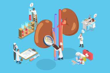 3D Isometric Düz Vektör Böbrek Tedavisinin, Nefrolojinin ve Ürolojinin İllüstrasyonu