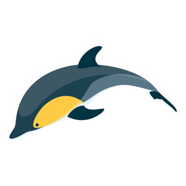 3 Boyutlu Isometric Dolphins Flat Vector kümesi, Eğitimsel Sınıflandırma. Madde 5