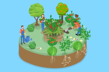 3 Boyutlu Isometric Biyolojik Çeşitliliğin Korunması, Organik Tarım, Ekolojik Tarım İllüstrasyonu