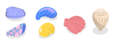 3D Isometric Düz Deniz Kabukları, Okyanus Kabukları