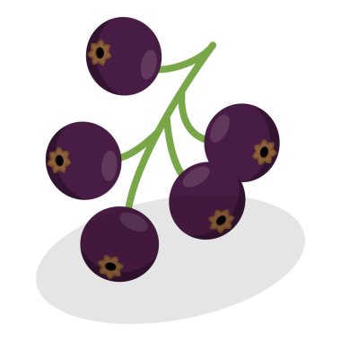 3 Boyutlu Isometric Düz Berry Seti, Sağlıklı Detox Doğal Ürünler. Madde 2