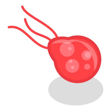 3 boyutlu Isometric Düz Vlat Virüsler ve Mikroplar, Bakteriyel Mikroorganizmalar. Madde 3