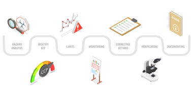HACCP 'nin 3 boyutlu Isometric Flat Kavramsal Resimleri, Tehlike Analizi, CCP Sınırlarını Tanımla, İzleme, Düzeltici Eylemler