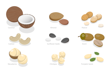 3D Isometric Fındık ve Fasulye Seti, Sağlıklı Beslenme ve Vitaminler