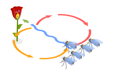 3D Isometric Flat Bee Waggle Dance, Animal Language