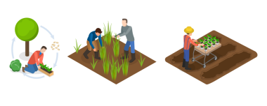 3D Isometric Flat Sürdürülebilir Tarım, Doğal Tarım Resimleri