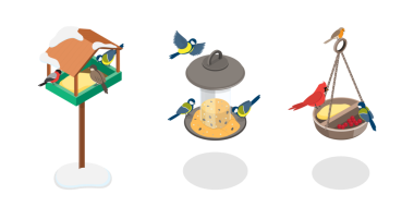 3 Boyutlu Isometric Kuş Yemi Seti, Tohumlu Arka Bahçe Kuş Evi